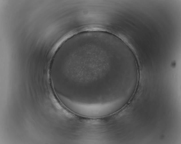 X0000112911189200909071527