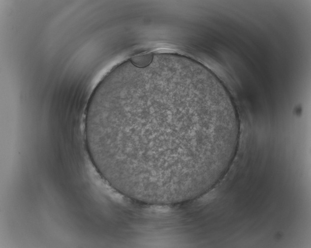 X0000112911190200909071527