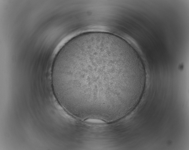 X0000112911192200909071527