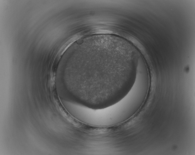 X0000112911193200909071527