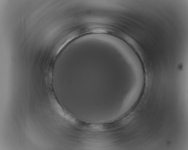 X0000112911194200909071527