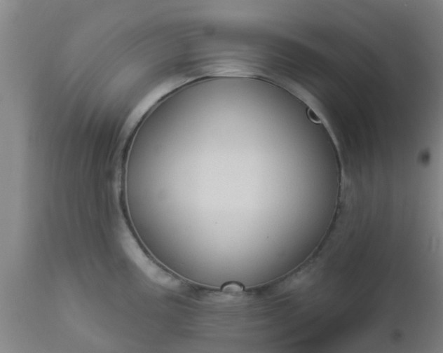 X0000112911195200909071527