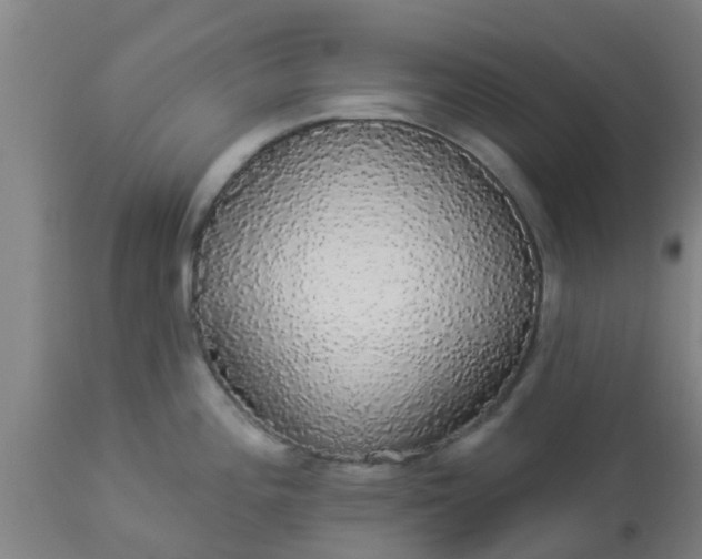 X0000112911196200909071527