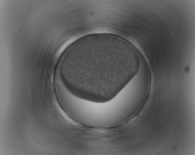 X0000112911197200909071527