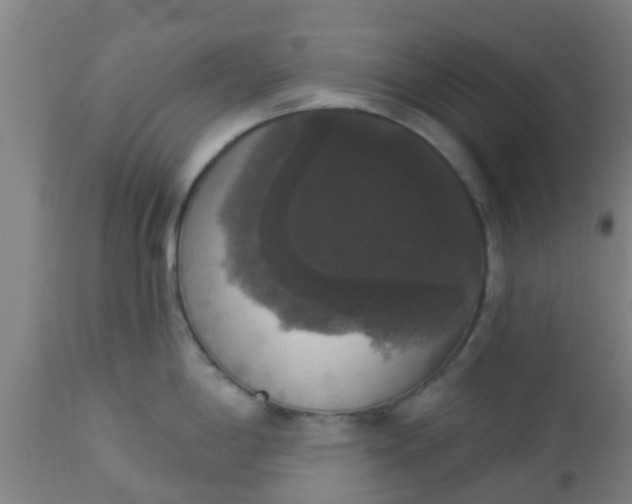 X0000112911198200909071527