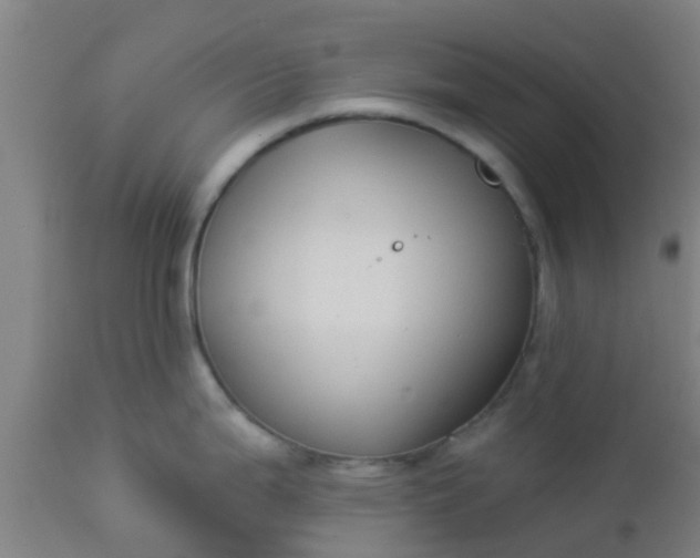 X0000112911199200909071527