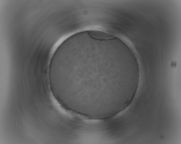 X0000112911200200909071527