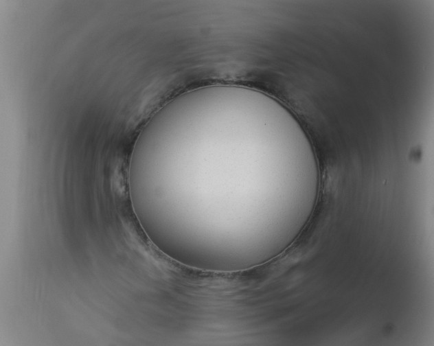 X0000112911202200909071526