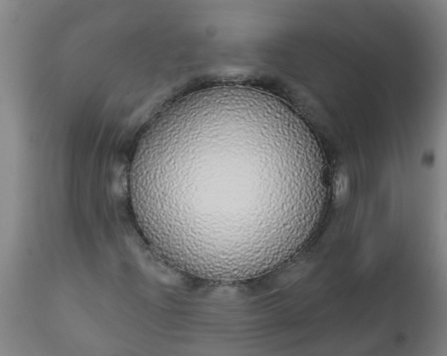 X0000112911204200909071526