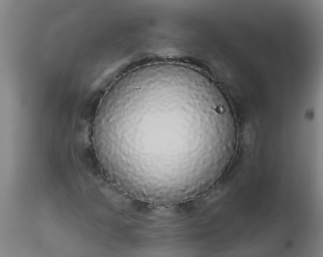 X0000112911205200909071526