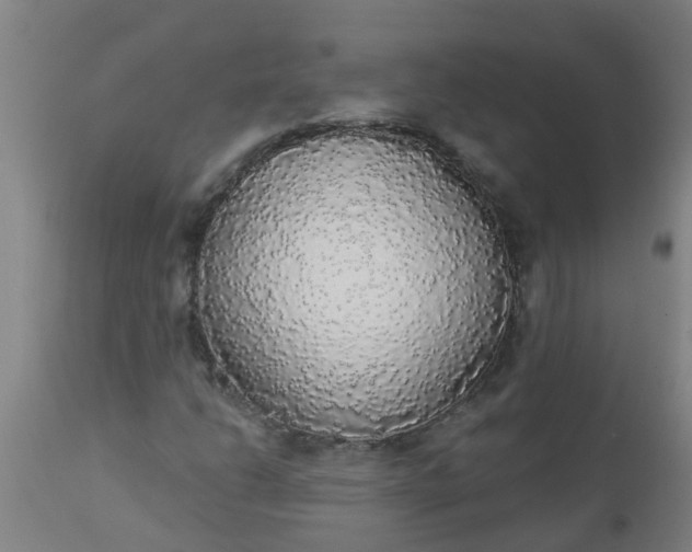 X0000112911206200909071526