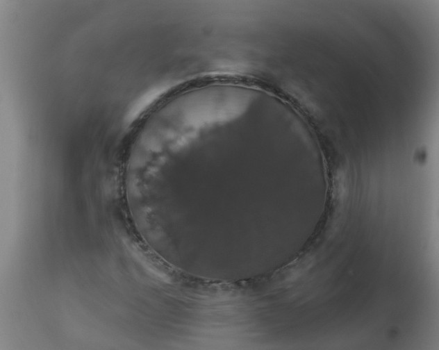 X0000112911208200909071526