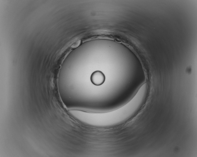 X0000112911209200909071526