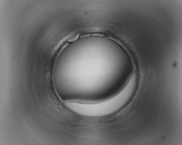 X0000112911210200909071526