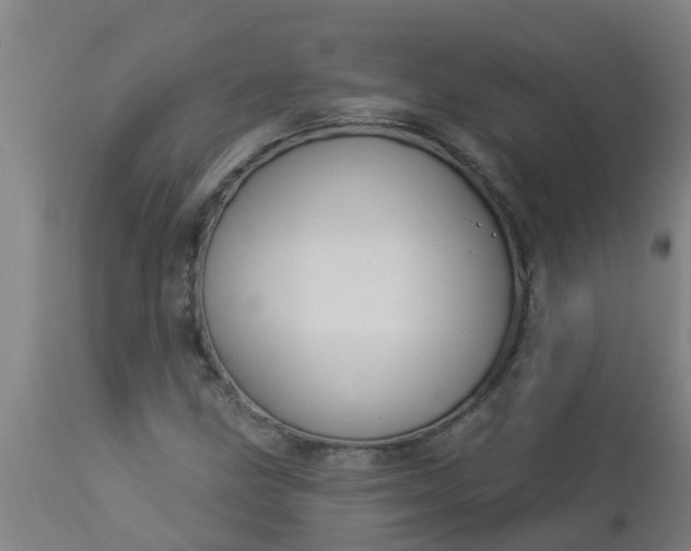 X0000112911211200909071526