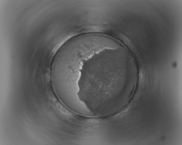 X0000112911212200909071526