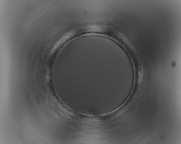 X0000112911213200909071526