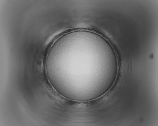 X0000112911214200909071526