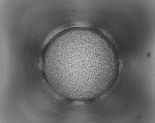 X0000112911215200909071527