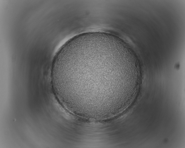 X0000112911216200909071527