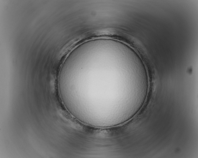 X0000112911217200909071527