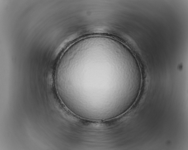 X0000112911218200909071527