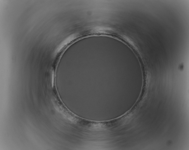 X0000112911219200909071527