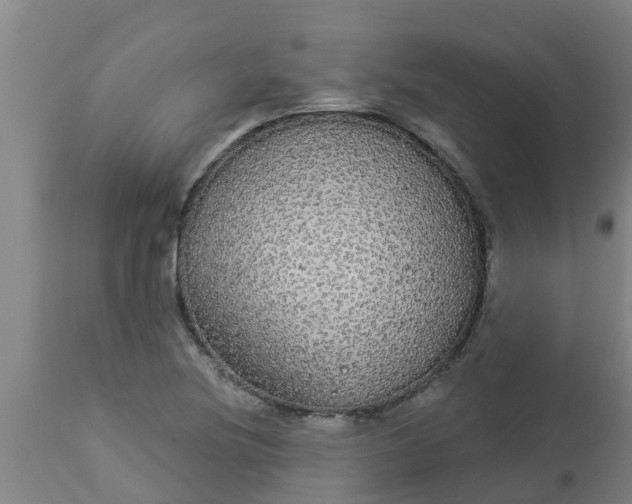 X0000112911220200909071527