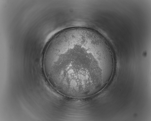 X0000112911222200909071527