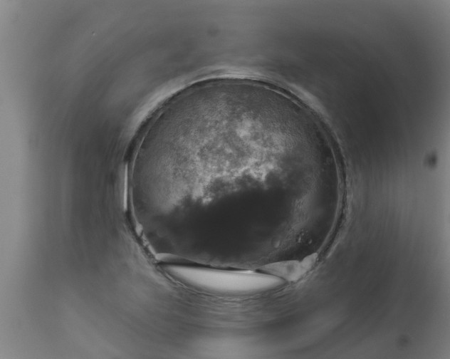 X0000112911223200909071527