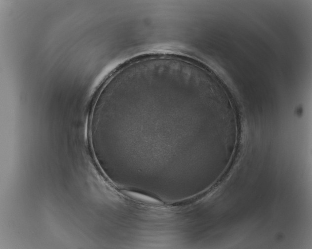 X0000112911224200909071527