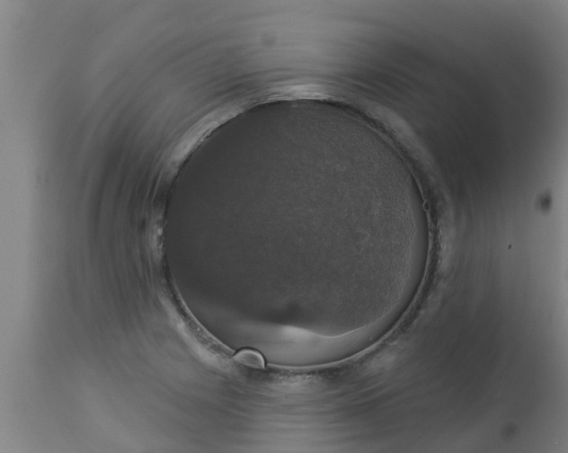 X0000112911225200909071527