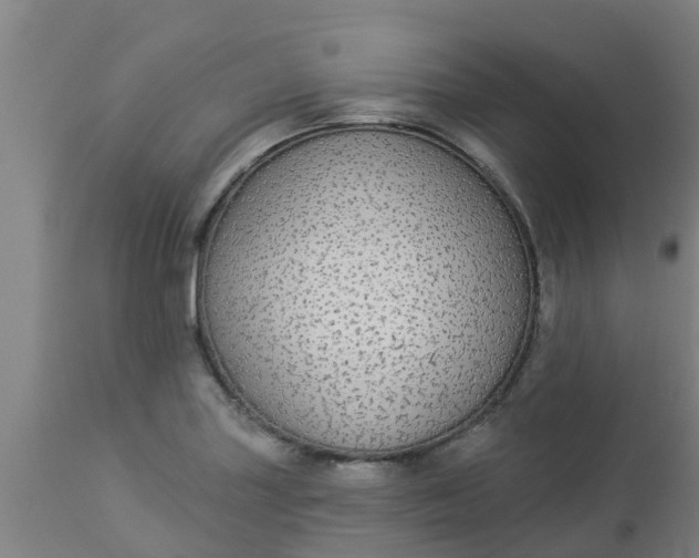 X0000112911227200909071527