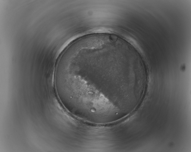 X0000112911228200909071527