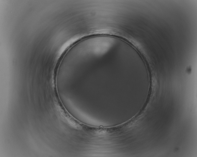 X0000112911230200909071527