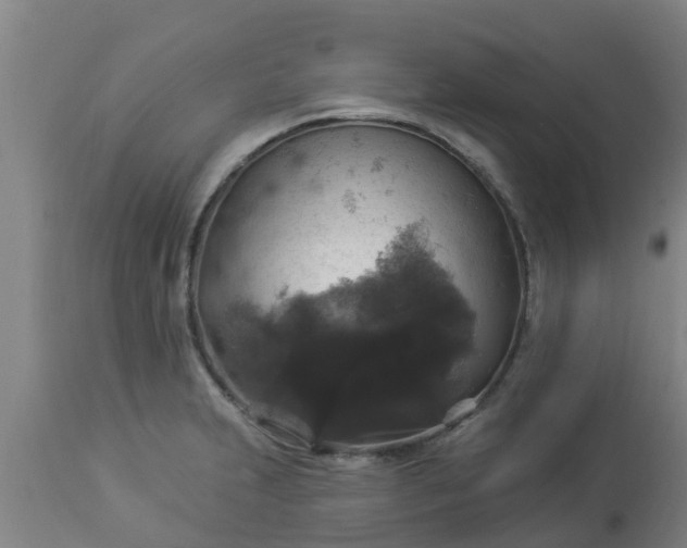 X0000112911231200909071527