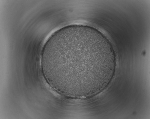 X0000112911232200909071527