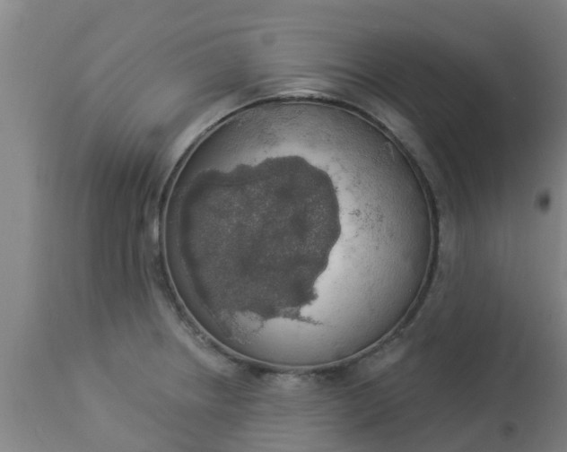 X0000112911234200909071527