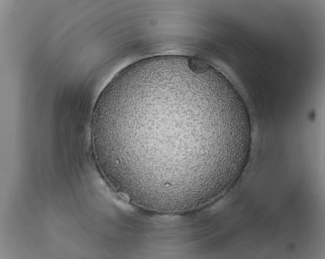 X0000112911236200909071527