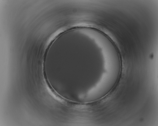 X0000112911237200909071527