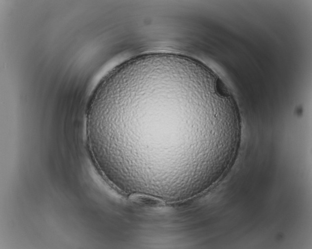 X0000112911238200909071527