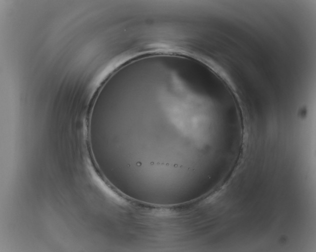 X0000112911239200909071527