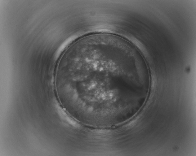 X0000112911240200909071527