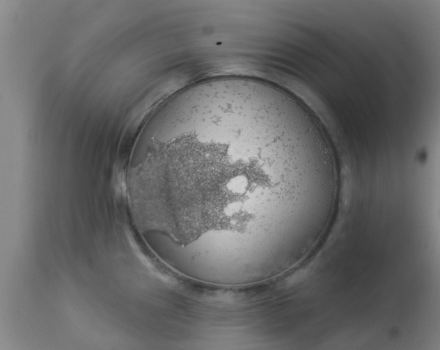 X0000112911241200909071527