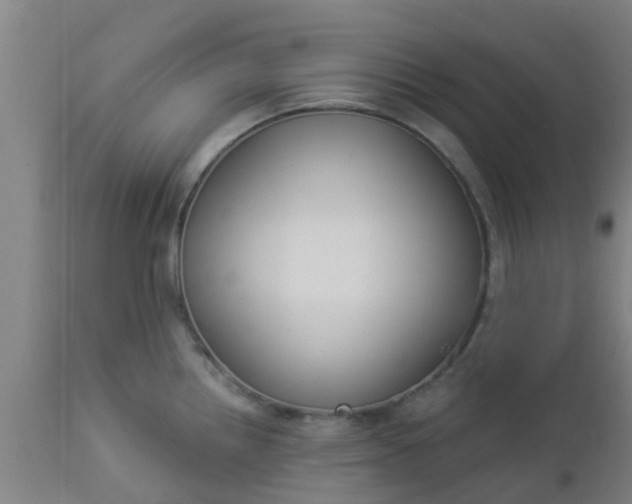 X0000112911242200909071527