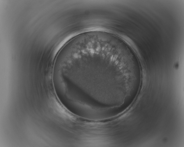 X0000112911244200909071527