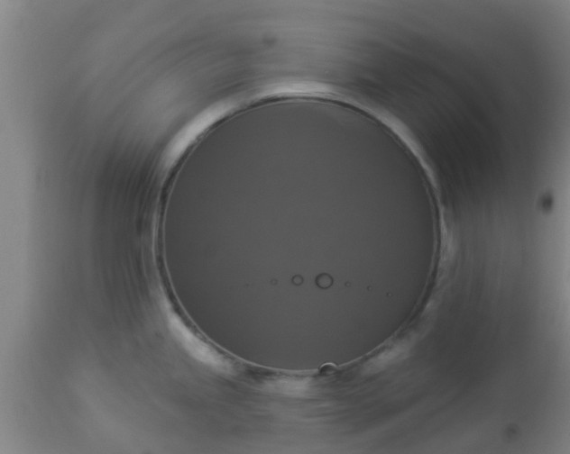 X0000112911245200909071527