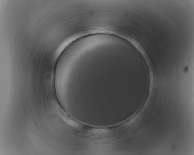 X0000112911246200909071527