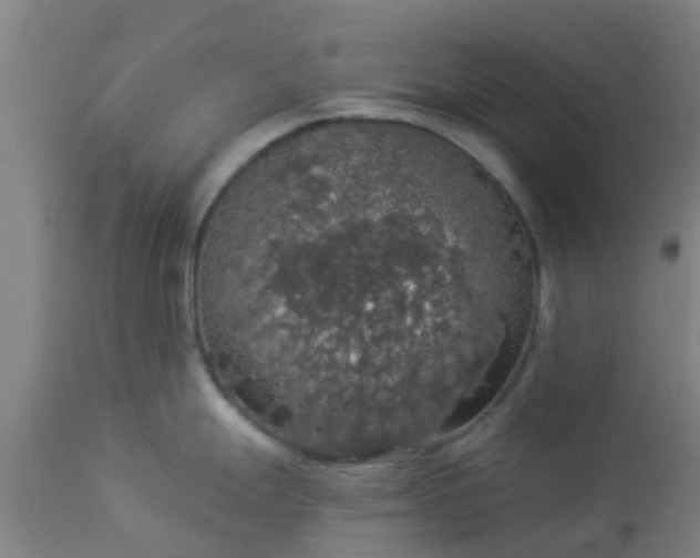 X0000112911247200909071527