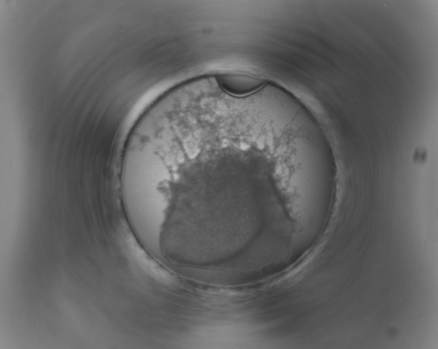 X0000112911248200909071527